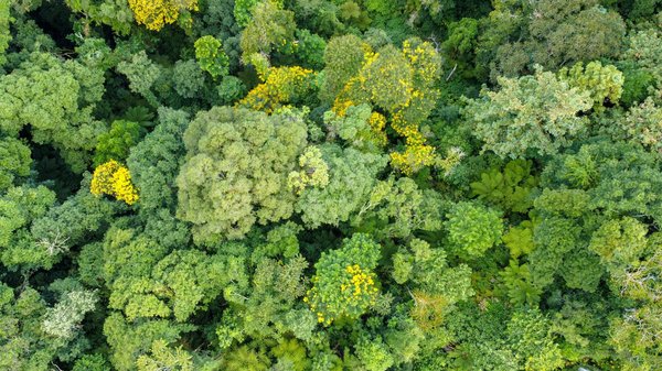 Vinyles tekno : découvrez les incontournables à posséder