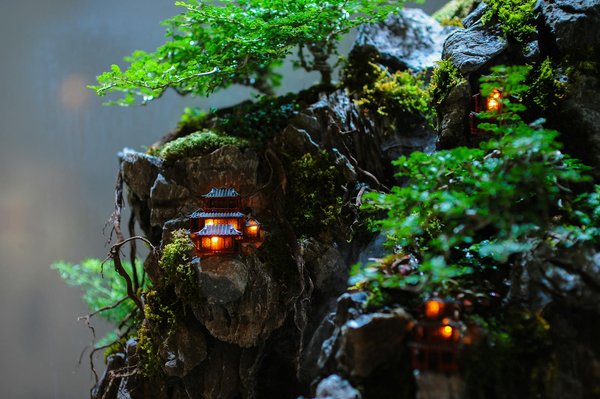 Aqua2000 : tout savoir sur l'adoucissement de l'eau à domicile